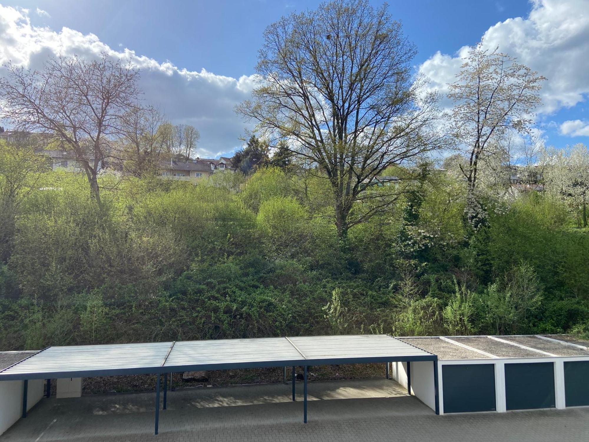 Ferienwohnung Am Erbacher Muemlingufer Erbach  Buitenkant foto