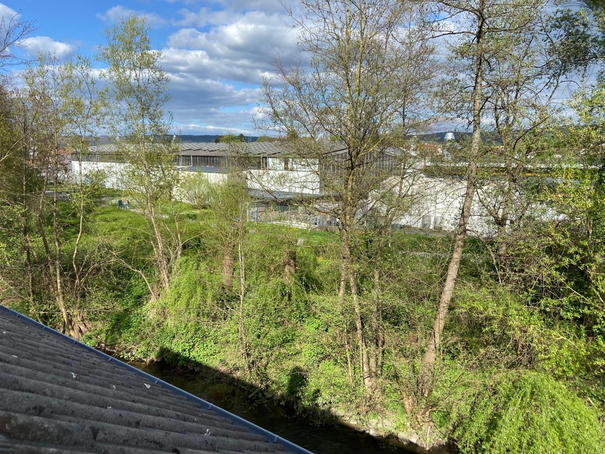 Ferienwohnung Am Erbacher Muemlingufer Erbach  Buitenkant foto